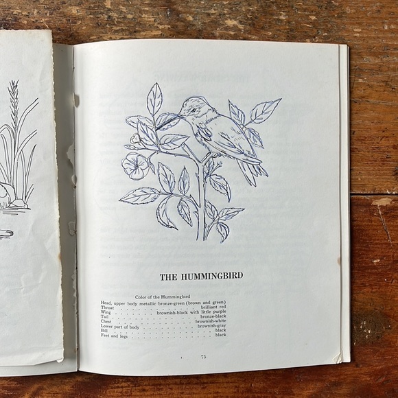 Birds To Know Vintage 60’s Colouring And Lesson Book - Picture 8 of 14